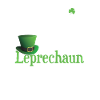 Leprechaun St.Patricks Day Shirt Gift