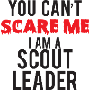 Scouts, Scout, louveteau, Rover, cadeau