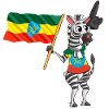 Ethiopian zebra