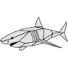 polygones requin