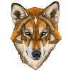 wolf