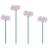 blumen