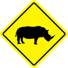 rhino