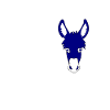 Spruch lustig Esel