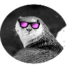 Otter Sonnenbrille Fischotter