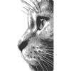 Katzengesicht