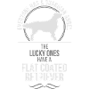 ENDUITS RETRIEVER PLAT Ange-Gardien Wilsigns