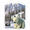 ours