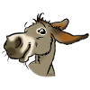 Smiling gray donkey