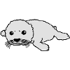 cute_baby_seal