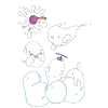 boo