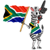 South African Zebra