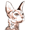 SMALL SPHINX