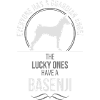 BASENJI Ange-Gardien Wilsigns