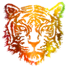 Tiger (Orange)