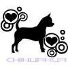 chihuahua © www.dog-power.nl