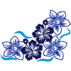 Hawaiiblumen