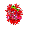 flower art