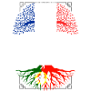 Racines Portugaises
