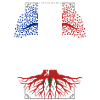 Racines Marocaines