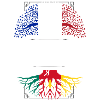 Racines Camerounaises