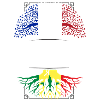 Racines Sénégalaises