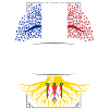 Racines Auvergnates