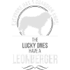 LEONBERGER Guardian Angel Wilsigns