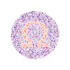 Omega-Sehtest