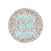 Xi Eye Test