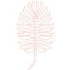 Greenery Leaf Monstera Plant Jungle