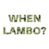 When Lambo? Camo