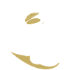 Pancake pancakes pancakes
