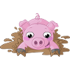 Splashing cartoon piggy