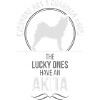 AKITA Ange-Gardien Wilsigns