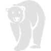 L'ours Polaire