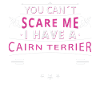 Cairn Terrier scare