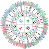 Sanger Codon Circle