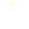 Thérapie Guadeloupe