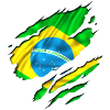 brasil brazil football