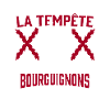 Tempête Bourguignons