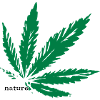Hemp Nature