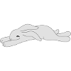 tired bunny