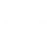 Crazy Cat Lady Cat Katte gave