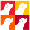 Labrador
