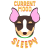 Chihuahua Tshirt / Chihuahua Design
