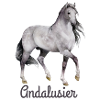 Andalusier