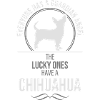 CHIHUAHUA Ange-Gardien Wilsigns