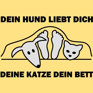 katze im bett