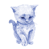 Schmuse Katze